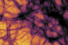 Új dimenzió a fehérjekutatásban: Fuxreiter Mónika cikke a Cell-ben