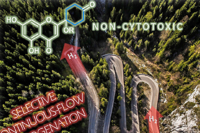 Hungarian researcher’s results on front page of ChemPlusChem