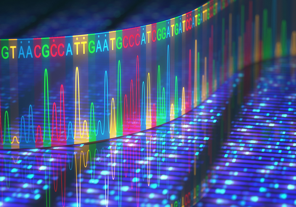 'Genomika a XXI. században – lehetőségek és kihívások egy fizikus szemével