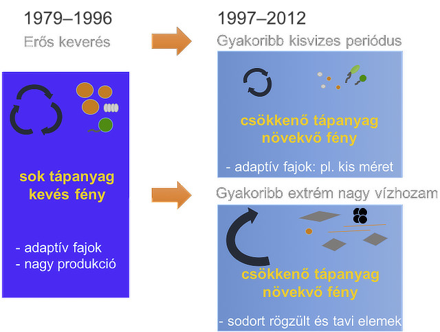 A dunai fitoplankton funkcionális alapú kompozíciós változásai 