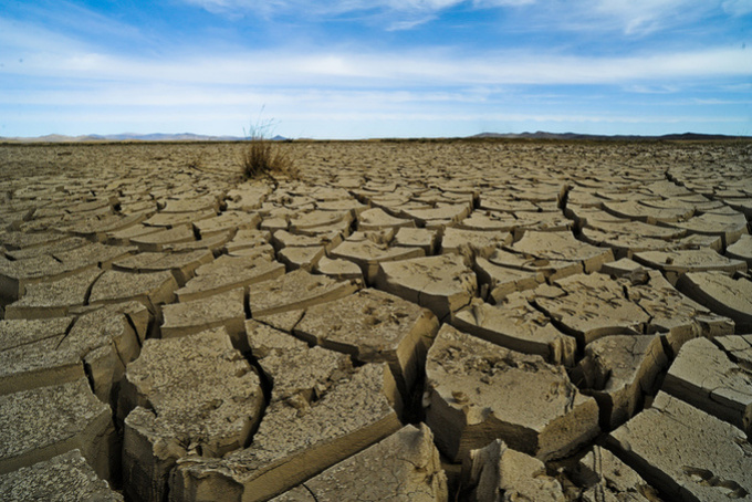 IPBES: még nem volt ilyen természetpusztulás a történelemben