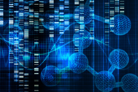 From Knowledge to Action Application