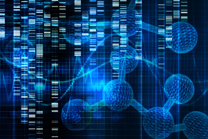 From Knowledge to Action Application