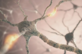 ' 2019 International Joint Conference on Neural Networks