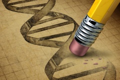 Így szabályoznák a genomszerkesztést az európai akadémiák