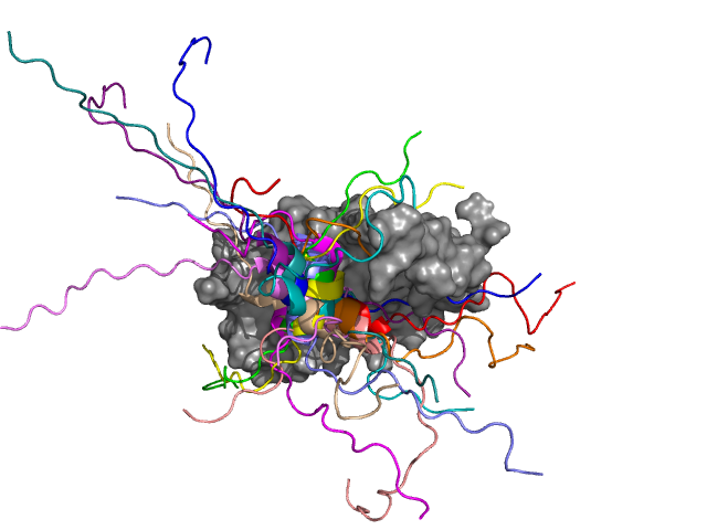 Több, mint 30 gén átíródását szabályozó GCN4 transzkripciós faktor (színessel ábrázolva) kapcsolódása a mediátor transzkripciós koaktivátor (Med15, szürkével ábrázolva) alegységéhez. A GCN4 középső része hélix konformációt vesz fel, mely több pozícióban j