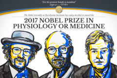 Orvosi-élettani Nobel-díj a cirkadián ritmust szabályzó molekuláris mechanizmusok feltárásáért