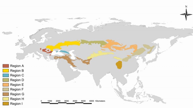 Az erdőssztyeppek elterjedése Eurázsiában. Az eltérő színekkel jelzett régiók a következők: (A) Közép- és Délkelet-Európa, (B) Kelet-Európa, (C) Észak-Kaukázus és a Krím-félsziget, (D) Nyugat-Szibéria és Észak-Kazahsztán, (E) Belső-Ázsia, (F) orosz és kín