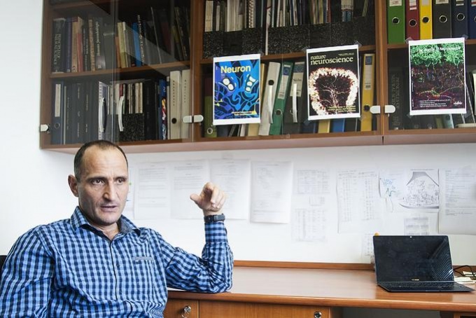 Az emlékek hatása az agyra - interjú Nusser Zoltánnal