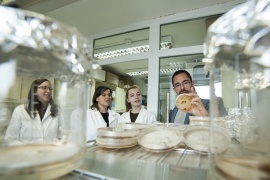 Megjelent a Lendület program 2020. évi pályázati kiírása