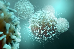 Immunfékek feloldásával a rák ellen – a 2018-as orvosi Nobel-díj háttere
