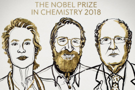 Irányított evolúciót alkalmaztak új fehérjék kifejlesztésére az idei kémiai Nobel-díjasok
