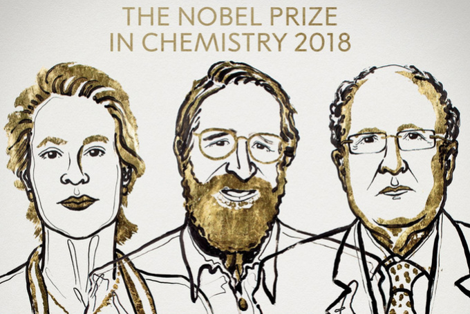 Irányított evolúciót alkalmaztak új fehérjék kifejlesztésére az idei kémiai Nobel-díjasok