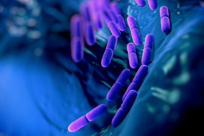 Szervezetünk antibiotikumai segíthetik a küzdelmet a jövő szuperbaktériumai ellen