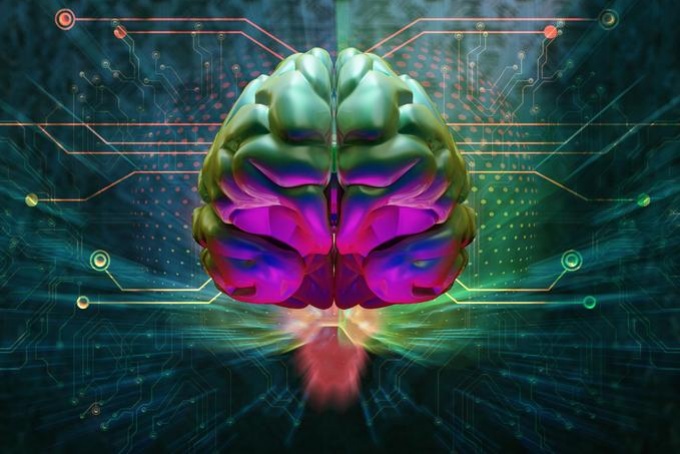 Egymástól tanuló mesterséges intelligenciák fedik fel agyunk valódi korát