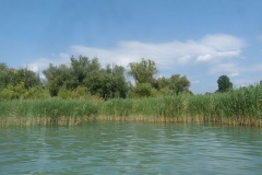 Az algainvázió arra figyelmeztet, hogy nem halogatható tovább a Balaton kutatásának megújítása – a Nemzeti Víztudományi Program közleménye