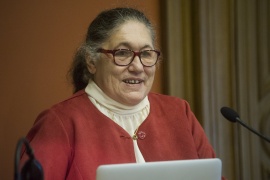 A mintázatelemzéstől a folyamatok megértéséig – Padisák Judit levelező tag székfoglaló előadása