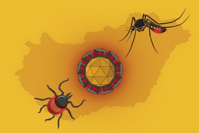 Magyarország átvenné a kezdeményezést a jövő járványaival szemben