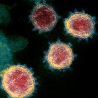 A koronavírus-járványhoz kapcsolódó cikkeink