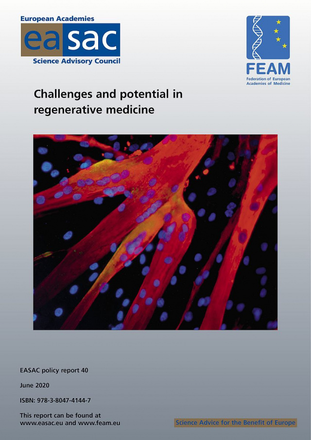 A regeneratív orvoslás kihívásai és lehetőségei című jelentés borítója