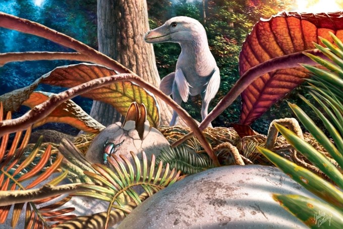 Bemutatták az első magyarországi dinoszaurusztojást