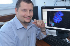 Mesterséges neuronhálóval az igazi neuronhálók felfedezéséért