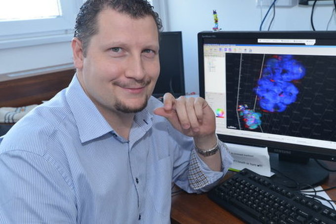 Mesterséges neuronhálóval az igazi neuronhálók felfedezéséért