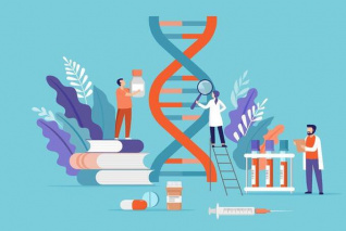 Momentum MSCA Programme: Welcoming Postdocs from Around the World to Join Momentum Research Groups 