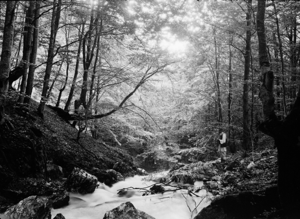 Kilátás a csoklovinai alsó barlang szájától a patakon lefelé, Hunyad vármegye, Magyarország, 1911.VI.30.