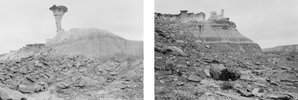 Arizonai kövesült erdő gombakő közelről, USA, 1912.X.1. / Arizonai kövesült erdő. Részlet USA, 1912.X.1.