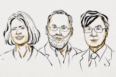 Orvosi Nobel-díj a perifériás immuntoleranciáért