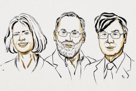 Orvosi Nobel-díj a perifériás immuntoleranciáért