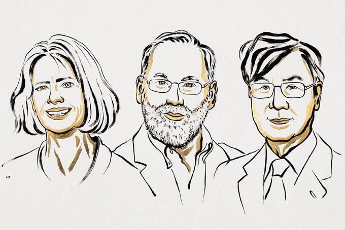 Orvosi Nobel-díj a perifériás immuntoleranciáért