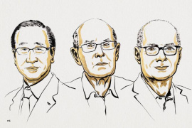 A fémionokból és szerves összekötőkből épített molekuláris vázak megalkotóit jutalmazták az idei kémiai Nobel-díjjal