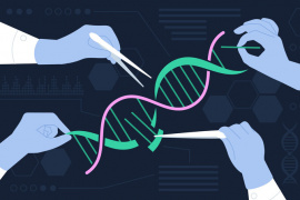 Magyar kutatók fejlesztése teszi sokkal hatékonyabbá a genetikai szerkesztést
