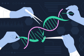 Magyar kutatók fejlesztése teszi sokkal hatékonyabbá a genetikai szerkesztést