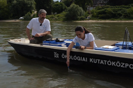 Ökológusok, mérnökök és egészségügyi szakemberek őrködnek mindannyiunk tiszta ivóvize fölött – Kisfilm az MTA Nemzeti Víztudományi Programhoz kapcsolódó eredményekről