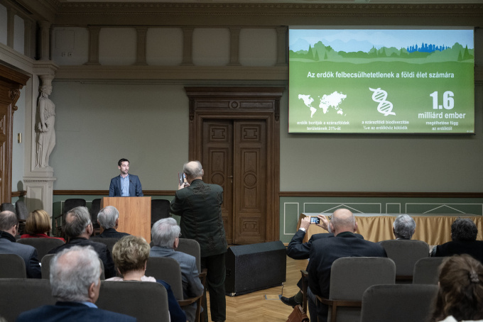 A Föld akarata az erdő – Videón az MTA Veszprémi Területi Bizottságának erdészeti konferenciája