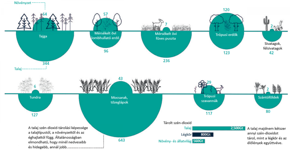 Különféle természeti rendszerek szén-dioxid-tároló képessége föld fölött és alatt