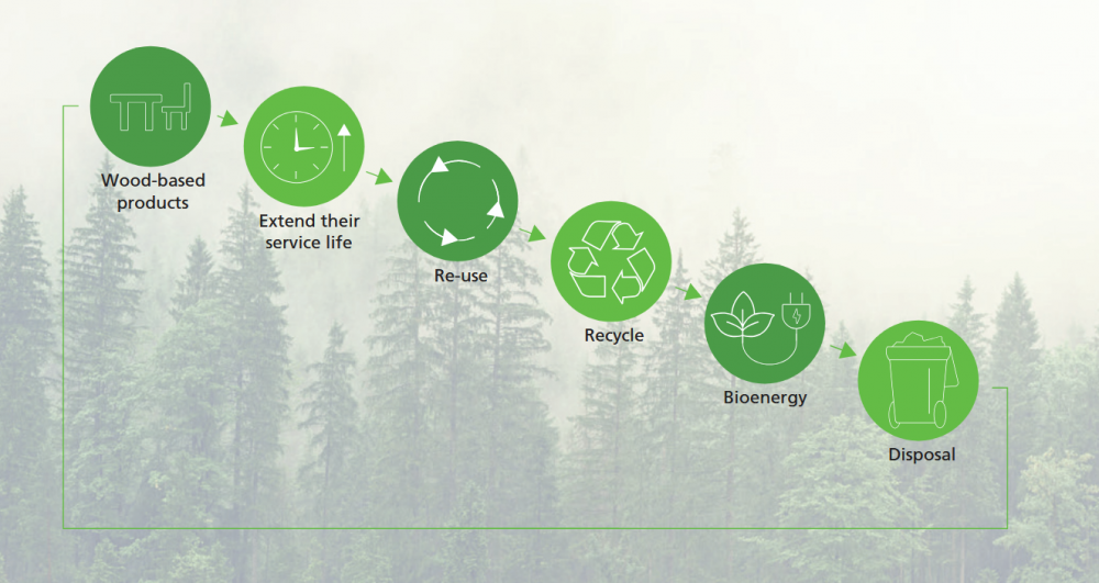 EU Cascade priorities for forest biomass