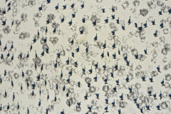 Magyar tájak élő öröksége – az MTA „Natura Mirabilis” országos természetfotó-pályázatának díjnyertes képei