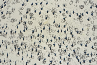 Magyar tájak élő öröksége – az MTA „Natura Mirabilis” országos természetfotó-pályázatának díjnyertes képei