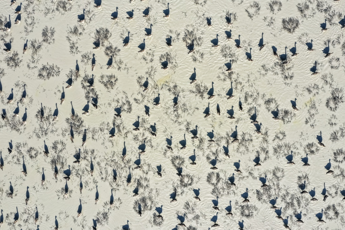 Magyar tájak élő öröksége – az MTA „Natura Mirabilis” országos természetfotó-pályázatának díjnyertes képei