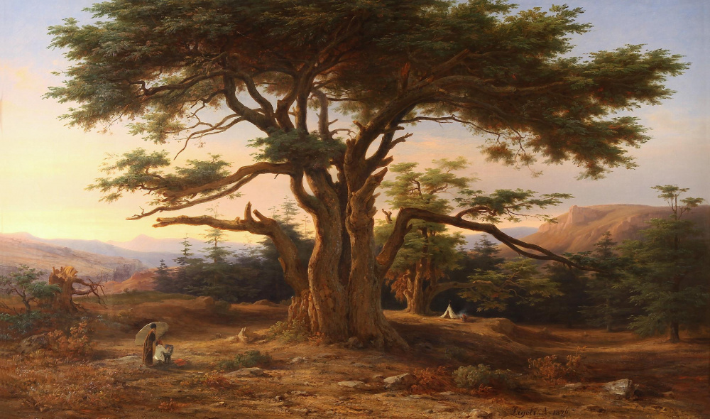 Ligeti Antal: Libanoni cédrusliget, 1876