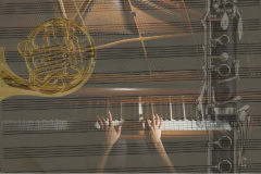 A magyaroknak két anyanyelvük van: a másik a zene. Ünnepi koncert a területi bizottságok hónapjának tiszteletére