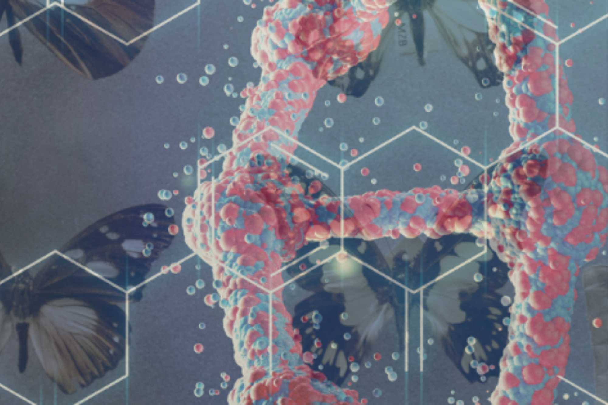 'Magyar szupraindividuális biológia a XXI. század elején