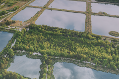 A víz világnapja: A komplex tudományos vízgazdálkodás aktuális kérdései és új válaszok lehetőségei