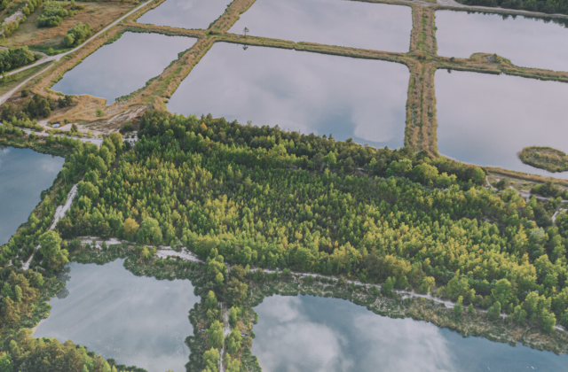 A víz világnapja: A komplex tudományos vízgazdálkodás aktuális kérdései és új válaszok lehetőségei